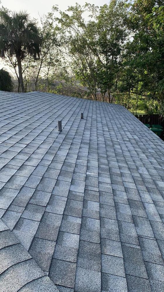 Slide of Roof Giants