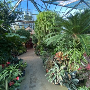 Ott's Exotic Plants - Nurseries & Gardening Near Me - Schwenksville, Pennsylvania Ott's Exotic Plants - Nurseries & Gardening Near Me - Schwenksville, Pennsylvania