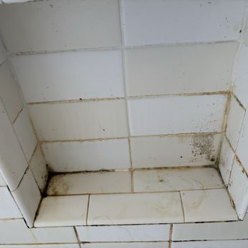 The 2 Clean Queens - Before (3 years of not cleaning) - Home Cleaning Near Me - Wilmington, North Carolina The 2 Clean Queens - Before (3 years of not cleaning) - Home Cleaning Near Me - Wilmington, North Carolina