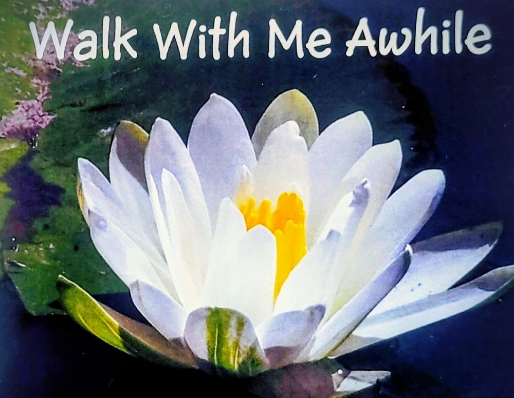 Sunshine Home Care - home care agency in Rochester, NY