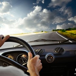 City Car Rental