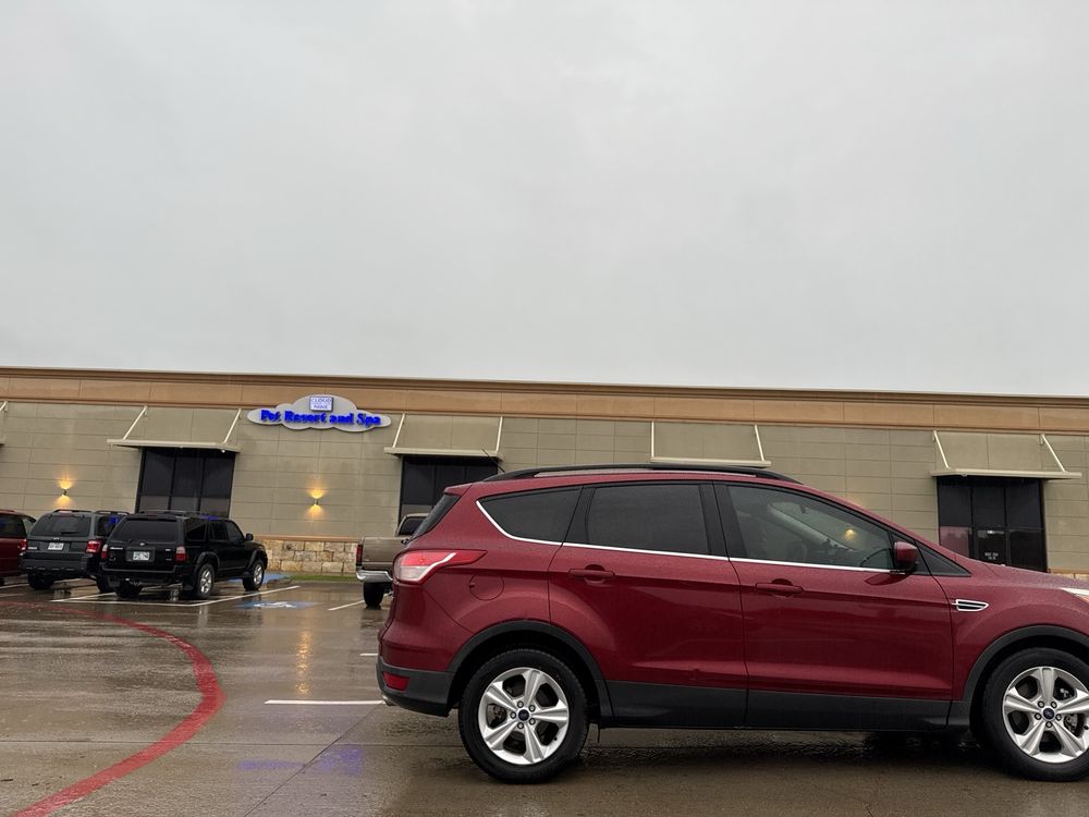 Cloud Nine Pet Resort Image