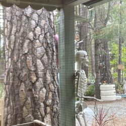 Mountains Top Coffee Shop - Out the window...beautiful forest & play area ...