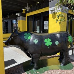 Happy St. Patrick's Day