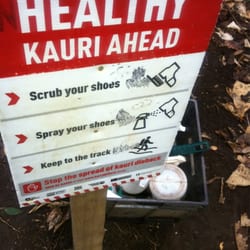 Whatipu Beach And Caves - Spray your shoes and prevent damaging kauri trees