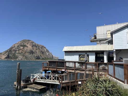 Morro Bay Oyster Company by null