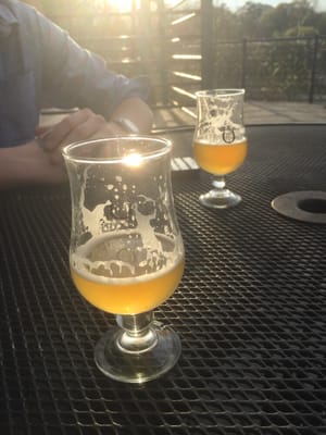 Orpheus Brewing by null