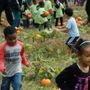 Photo of Kiddies Kollege Christian Center
