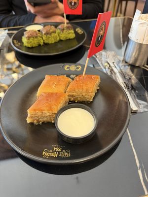 Hafiz Mustafa 1864 by null