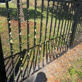 Taylor Boys Power Washing - Fence with algae and fungus. - Pressure Washers Near Me