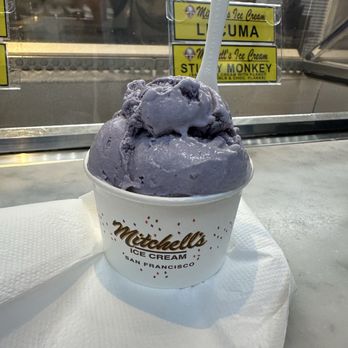 Mitchells Ice Cream - Single scoop of Ube - Ice Cream & Frozen Yogurt Near Me - San Francisco, California