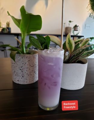 Wildcrafters Booze-Free & Kava Bar by null