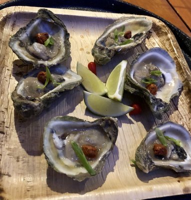 Skull & Crown Trading Co. by null