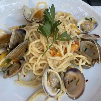 Ysabel - What was supposed to be linguini and clams - New American Near Me - West Hollywood, California