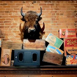 Maumee Bay Brewing