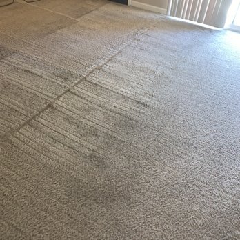 All Muscle Carpet Cleaning - Carpet Cleaning Near Me All Muscle Carpet Cleaning - Carpet Cleaning Near Me