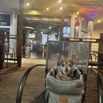 Concord Tap House - Dog's are welcome - Bars Near Me - Concord, California Concord Tap House - Dog's are welcome - Bars Near Me - Concord, California