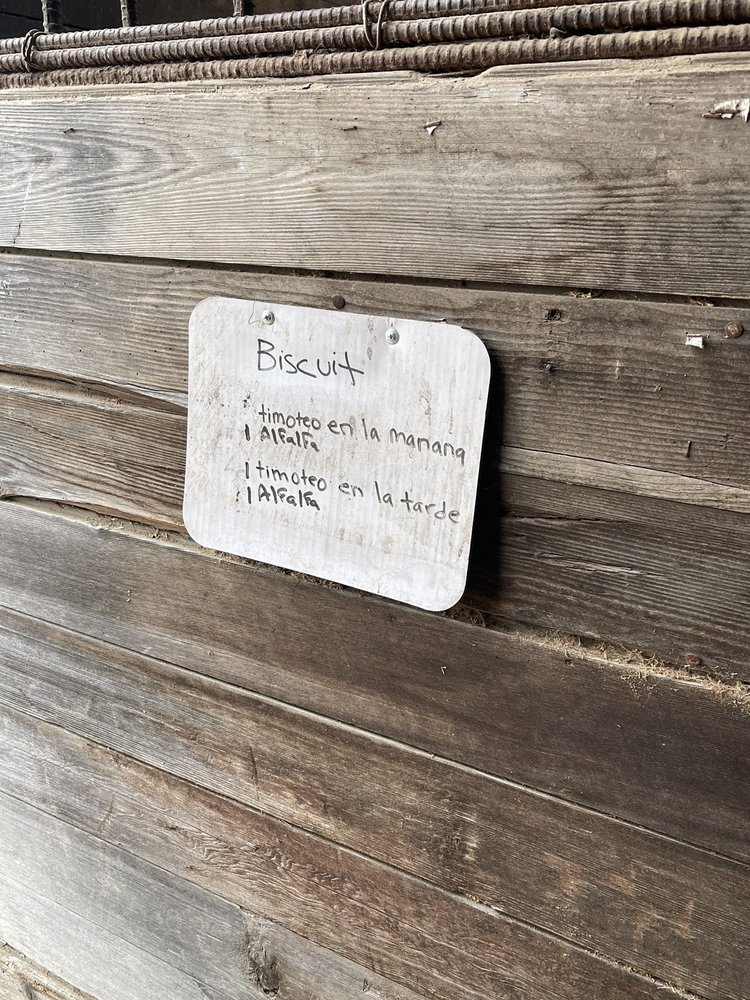 Lakeside Equestrian - equestrian in Renton, WA