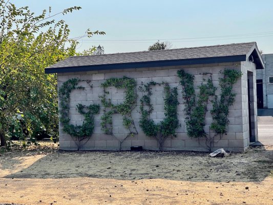 Napa Valley Vine Trail by null