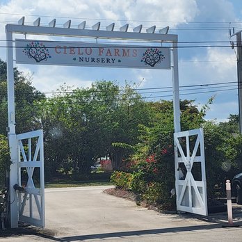 Cielo Farms Nursery Reviews