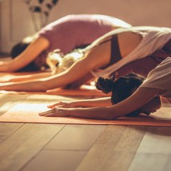 Vibrant Roots Wellness