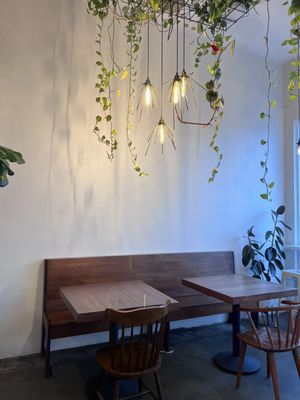 Steelhead Coffee by null