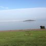Photo of Edinburgh Parkrun
