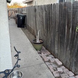 Side yard weeds removed