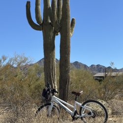 Scottsdale Electric Bikes