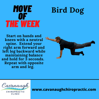 Cavanaugh Chiropractic - Chiropractic exercise - Chiropractors Near Me - Lafayette, Louisiana Cavanaugh Chiropractic - Chiropractic exercise - Chiropractors Near Me - Lafayette, Louisiana