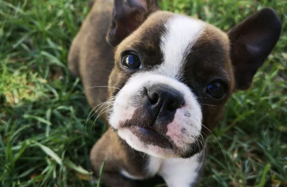 o Jupiter Florida Real Estate For Sale