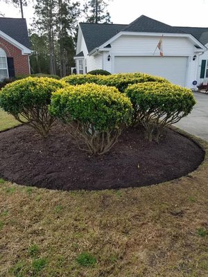 Landscaping Services - Transform your Property with Topnotch Landscaping Services with full Landscape design, installation, and maintenance services. Landscaping Services - Transform your Property with Topnotch Landscaping Services with full Landscape design, installation, and maintenance services.
