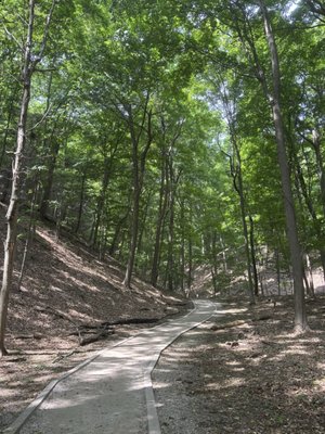 Rosy Mound Natural Area by null