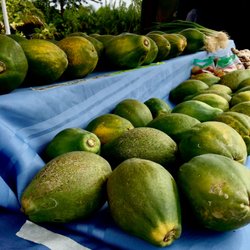 Delicious Papaya
