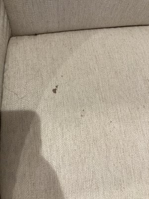 YESSS HE WILL - Updated February 2026 - 37 Photos & 82 Reviews - 3631 ...