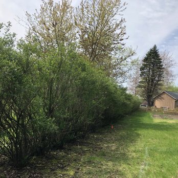 E’S Outdoor Services - Hedge trimming - Landscaping Near Me