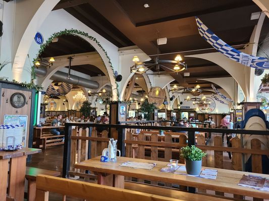 Hofbräu by null