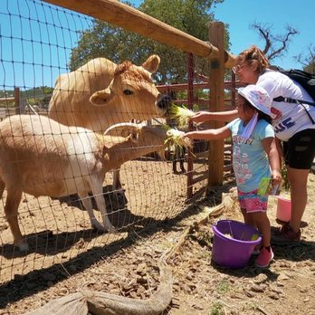 Alpine Acres Sanctuary Farm - Ranches Near Me - Alpine, California