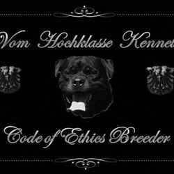 Vom Hochklasse Rottweiler Breeder