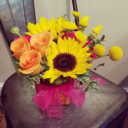 Penguin Florist & Flower Delivery - Sunny days
