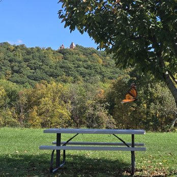 Whitecliff Vineyard - Nice outdoor views to have a glass of wine. Olana is at the top of the hill. - Wineries Near Me - Hudson, New York