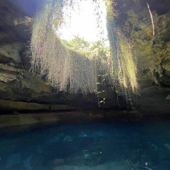 Devil's Den Prehistoric Spring - Scuba Diving Near Me - Williston, Florida Devil's Den Prehistoric Spring - Scuba Diving Near Me - Williston, Florida
