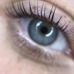 de Payolle - Keratin Lash Lift + Lash Botox