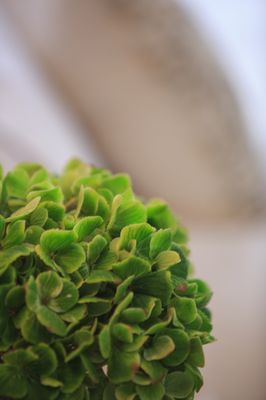 Renaissance Denver Downtown City Center Hotel by null