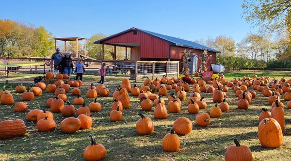 Bronkberry Farms & Greenhouse
