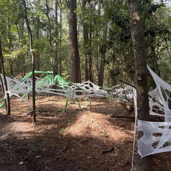 Boone Hall Plantation - Venues & Event Spaces Near Me - Mount Pleasant, South Carolina