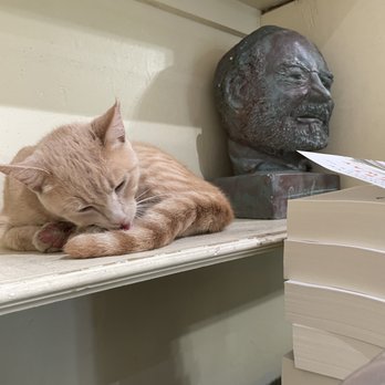 Ernest Hemingway Home  - Museums Near Me - Key West, Florida