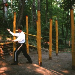 Self Care Arts - Baguazhang conditioning for multiple opponents.