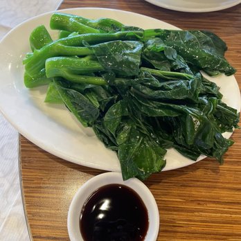 Koi Palace - 665. Chinese Broccoli with Oyster Sauce - Dim Sum Near Me - Milpitas, California Koi Palace - 665. Chinese Broccoli with Oyster Sauce - Dim Sum Near Me - Milpitas, California