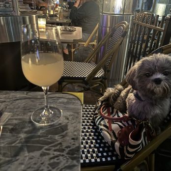Bacari GDL - Plus they're dog friendly!! - Mediterranean Near Me - Glendale, California Bacari GDL - Plus they're dog friendly!! - Mediterranean Near Me - Glendale, California